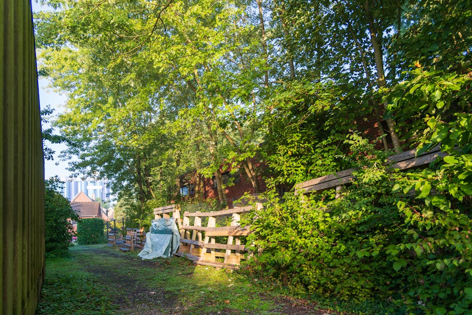 A narrow outdoor pathway next to a residential property, with tall, leafy green trees providing partial shade. On the right side, a wooden fence and dense bushes run along the length of the path, while on the left, a wooden wall of the building is partially visible. Near the center, a small pile of wrapped and unwrapped furniture, including a white covered item, is situated on the ground, indicating a home relocation process. Several cardboard boxes and packing materials are arranged nearby, along with a hand truck or trolley used for moving heavy items. The pathway is unpaved with patches of grass and dirt, leading towards a gate at the end, where additional furniture and large items are positioned for loading into a van or moving vehicle. Bright daylight filters through the leaves, emphasizing a scene of packing, furniture transport, or the final stages of a house move, which is in line with services offered by Man with Van Tottenham Green.