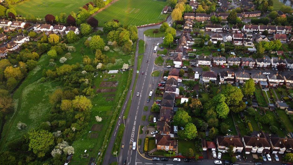 An aerial view showing a residential area with closely packed houses and tree-lined streets adjacent to a large green park with mature trees and open grassy areas. The houses are mainly semi-detached or terraced, with some driveways and small gardens. A main road runs vertically through the image, with several cars parked along the sides and moving vehicles, indicating moderate traffic flow. The park has pathways and is surrounded by a mix of deciduous trees, some blossoming or with foliage in various shades of green. The lighting suggests daytime with clear weather. This scene reflects a typical suburban neighbourhood suitable for house removals, with Man with Van Tottenham Green providing furniture transport and packing services nearby.