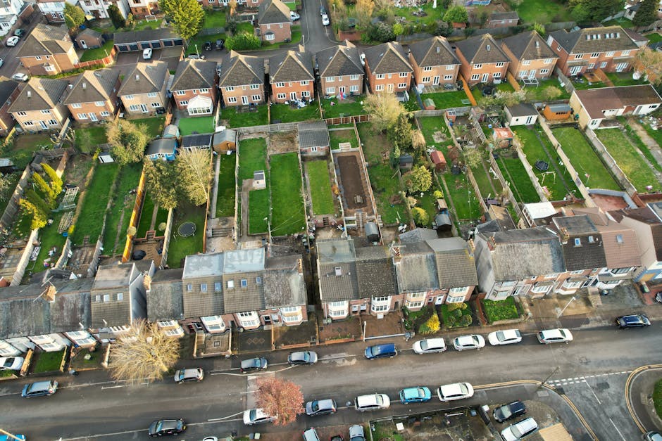 An aerial view showing a residential area with closely packed houses and tree-lined streets adjacent to a large green park with mature trees and open grassy areas. The houses are mainly semi-detached or terraced, with some driveways and small gardens. A main road runs vertically through the image, with several cars parked along the sides and moving vehicles, indicating moderate traffic flow. The park has pathways and is surrounded by a mix of deciduous trees, some blossoming or with foliage in various shades of green. The lighting suggests daytime with clear weather. This scene reflects a typical suburban neighbourhood suitable for house removals, with Man with Van Tottenham Green providing furniture transport and packing services nearby.